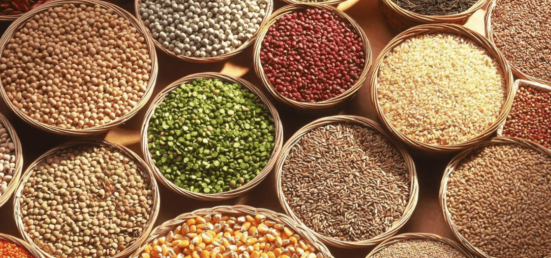 Adhinya Agro International cover image 3