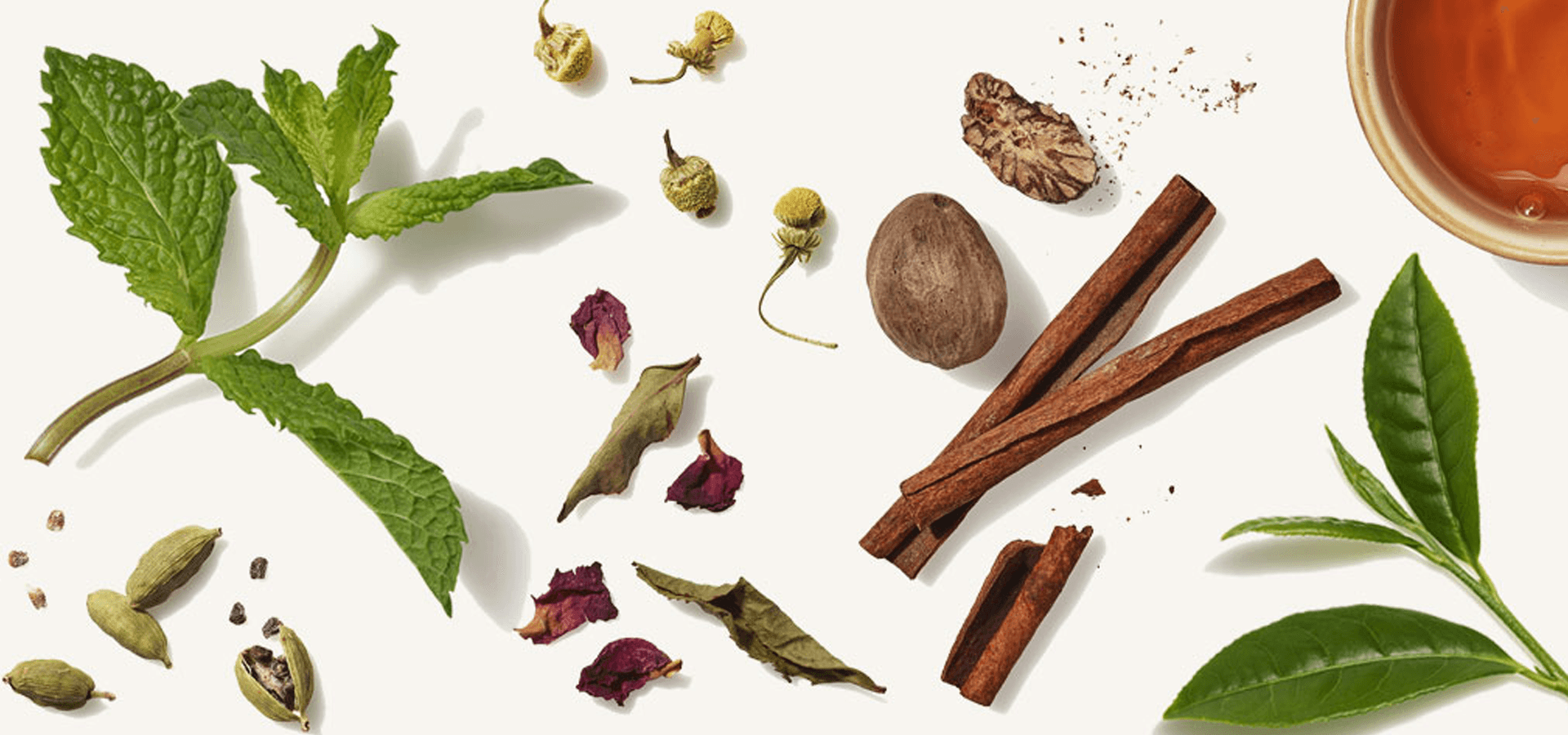 Adhinya Agro International cover image 6