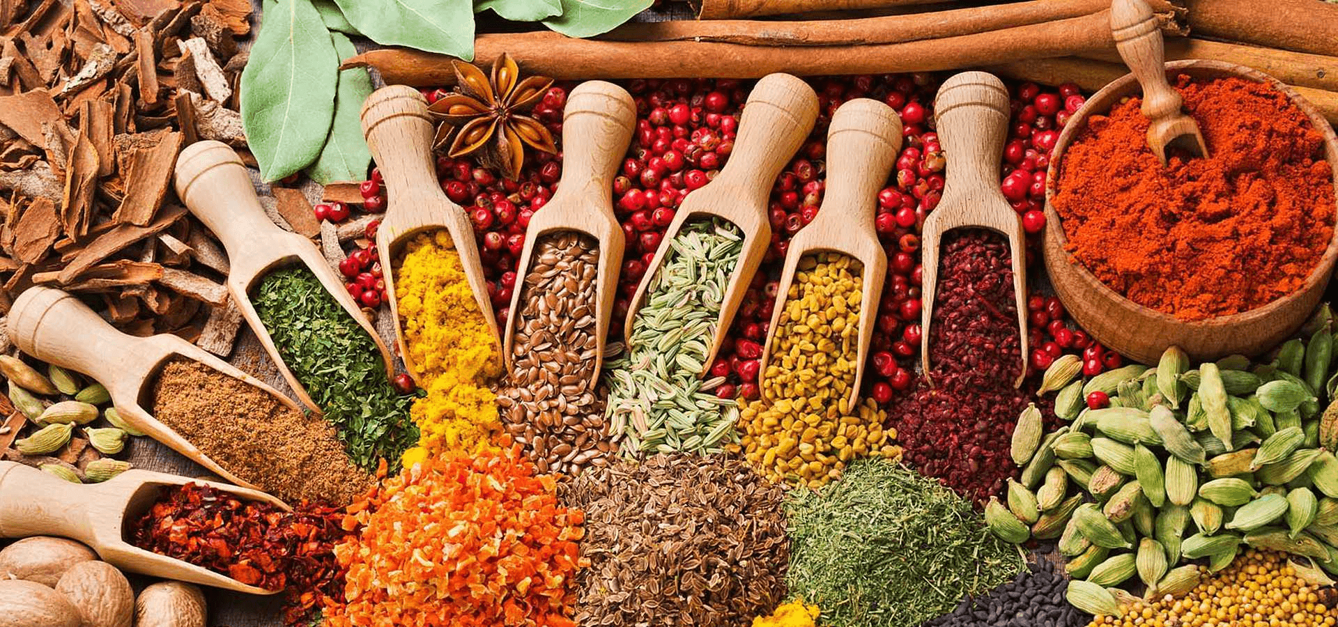 Adhinya Agro International cover image 7